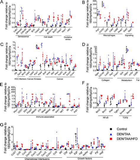 Gene Expression In Liver Gene Expression Normalized To Housekeepers