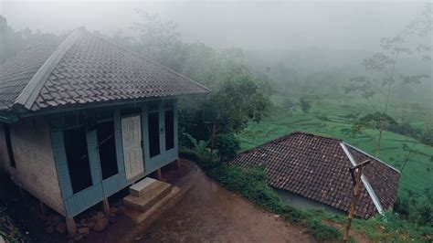 Rumah Pinggir Sawah Bikin Betah Dengan Suasana Hujan Mengguyur Kampung