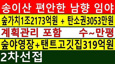 송이산 2차선접 계획관리포함 수~만평 임야 숲가치1조2173억원 탄소권3053만원 숲야영장탠트고기집319억연매출 땅과함께