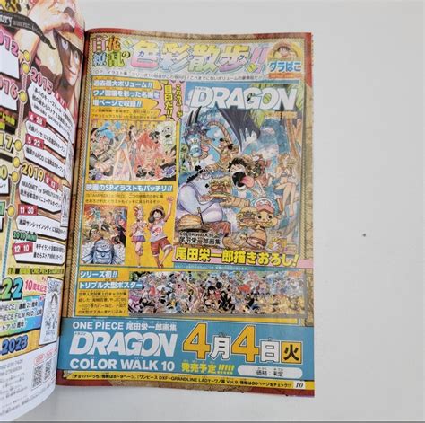 One Piece Dragon