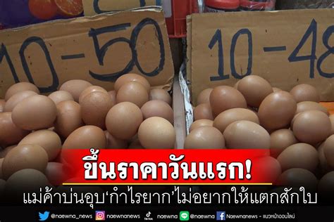 ในประเทศ แม่ค้าโอดกำไรหด หลังราคาไข่ไก่ปรับขึ้นวันนี้วันแรกแผงละ 6 บาท