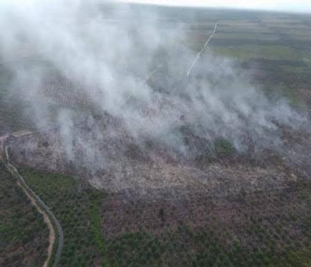 Hotspot Turun Drastis Di Sumatera Hari Ini Riau Masih Nihil Titik Panas