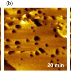 In Situ Stm Images Of The Au Surface In Py Fap Containing