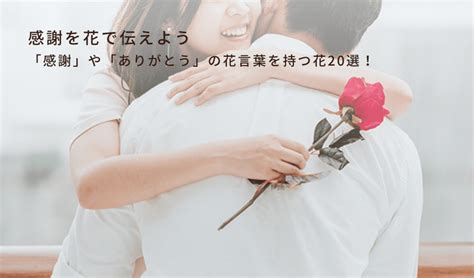 バラの花言葉とは？本数や色ごとの花言葉を徹底解説！ The Rose Magazine