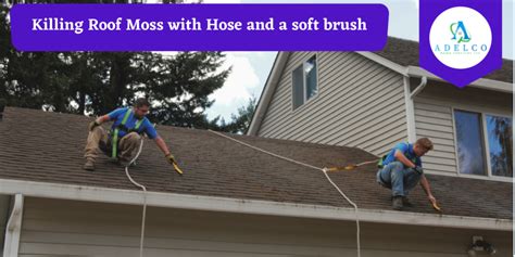 Killing Moss On Roof The Ultimate Guide To Remove Roof Moss