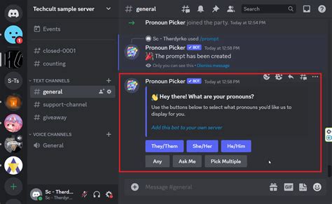 How To Add Pronoun Roles To Discord TechCult