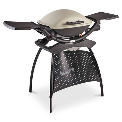 Weber Q2000 2 Burner Gas Barbecue With Stand Departments Diy At Bandq