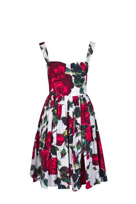 Dolce Gabbana Red Rose Print Cotton Poplin Corset Dress