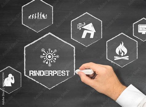 Rinderpest Stock Photo | Adobe Stock