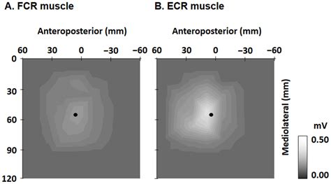 Two Dimensional Maps The Color Code Of Each Map Of Fcr A And Ecr B