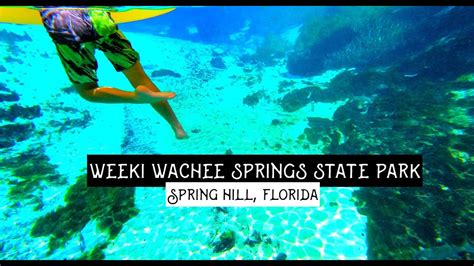 Weeki Wachee Springs State Park Spring Hill Florida Mermaid Show