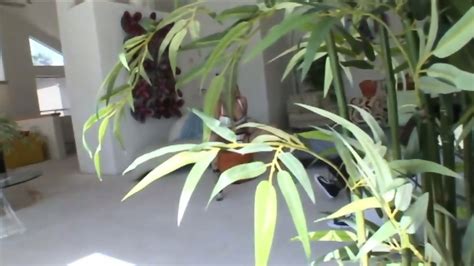 BR Hot Sceen 1 Malisa Moir