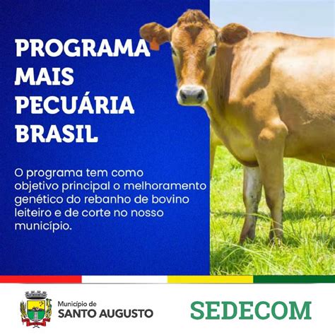 Programa Mais Pecu Ria Brasil Prefeitura Municipal De Santo Augusto