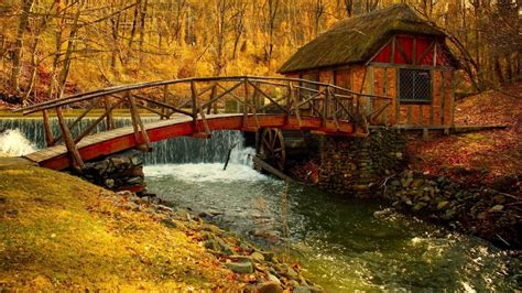 Wallpaper 1920x1080 Px Autumn Bridge Fall Forest Landscape Leaf Leaves Nature Path