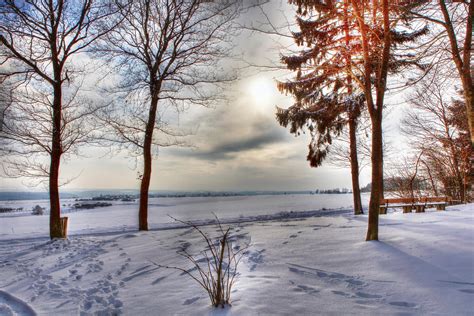 Wallpaper Sunlight Trees Landscape Forest Reflection Snow