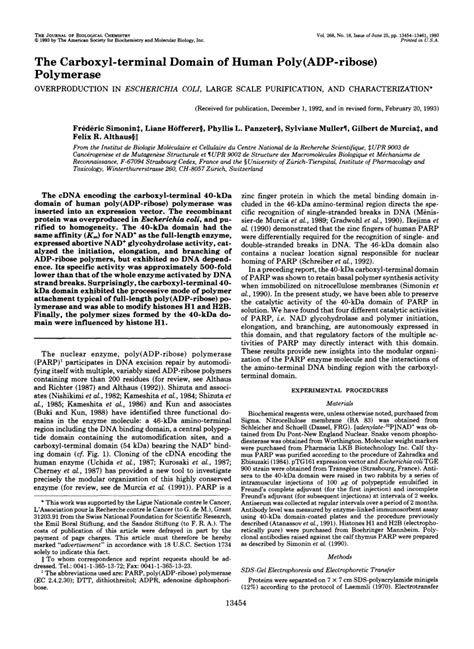 Pdf The Carboxyl Terminal Domain Of Human Poly Adp Ribose Polymerase