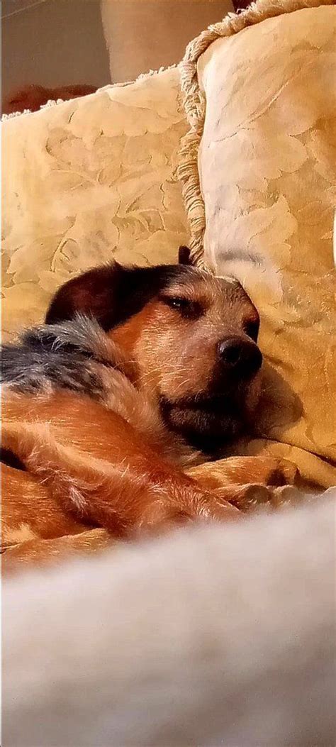 Watch Fuck Hard Core Sex Hardcore Brunette Milf Porn SpankBang