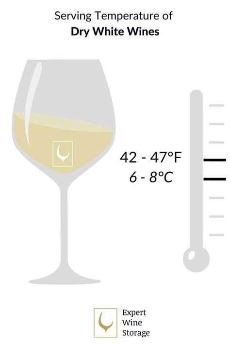 Driest White Wine 14 Dry Types And What Is The Driest