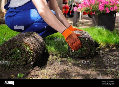 Gardener laying grass sod on backyard, closeup Stock Photo - Alamy