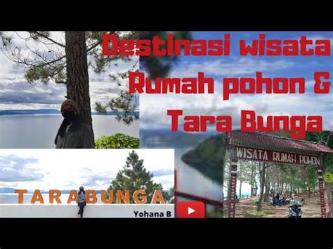 Destinasi Wisata Rumah Pohon Tarabunga Toba Sumut Yohanabulu