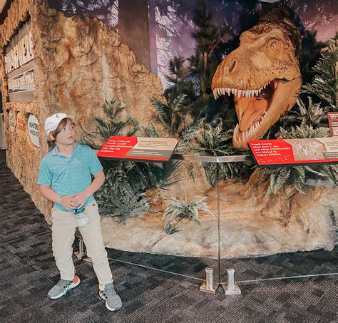 Dinosphere returns to The Children's Museum of Indianapolis — theCityMoms