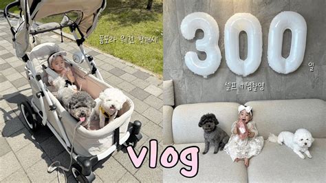 육아 브이로그 300일 셀프 기념촬영📸 I 폼포라 웨건 애개 후기는👶🏻🐶 I 롯백 문센 시작 I 옴므 크레용 구매🖍️ I