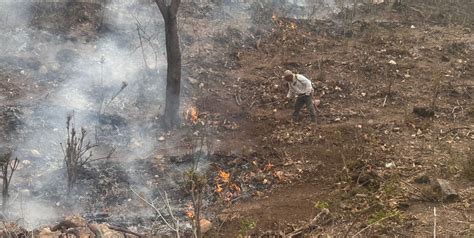 Incendios Forestales No Dan Tregua Alerta Cepc El Heraldo De San