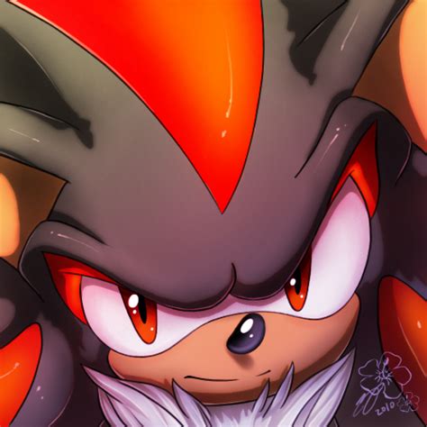 Sonicshadow And Silver Shadow The Hedgehog Photo 19179654 Fanpop