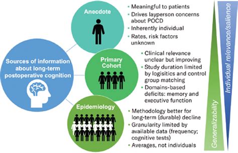 Long Term Cognitive Decline After Surgery And Anesthesia Reconciling Perspectives To Support