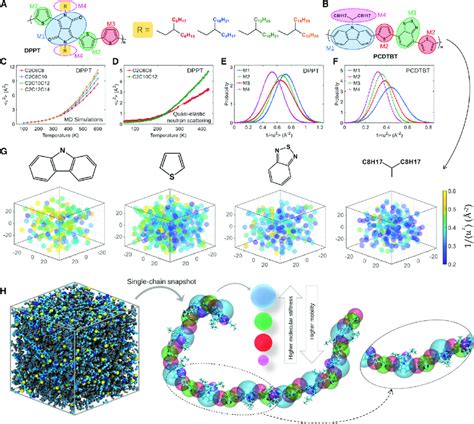 Segmental Dynamics Of Different Building Blocks Of Conjugated Polymers