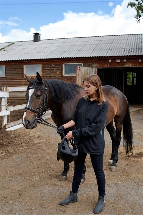 Lunging A Horse Exercises Equipment And How To Guide All About Horses