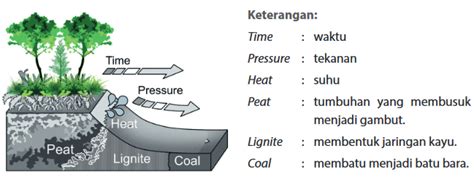 Teori Terbentuknya Batu Bara dan Pemanfaatannya - TKJ