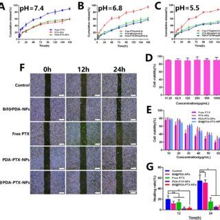 In Vitro Analysis Of Drug Release Profile And Cytotoxicity Drug