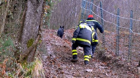 Udine Scomparse Due Gemelline Di 4 Anni Si Erano Allontanate Con Il