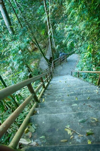 Premium Photo High Angle View Of Person Climbing Down Steps Amidst