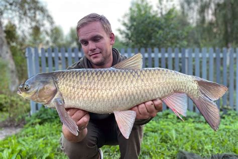 Grass Carp 7 5 Kg Specimen Baits