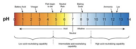 The pH of Water and Hydrochloric Acid: Understanding the Importance of ...