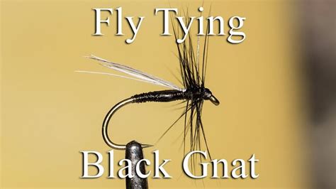 Fly Tying Black Gnat Fly Tying Fly Fishing Fly Tying Patterns