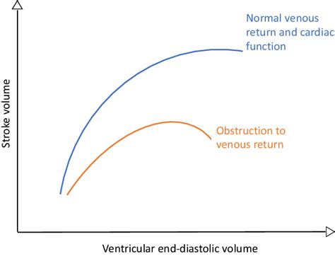 A Graph Depicting Frank Starling Relationship Between Ventricular