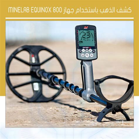 كشف الذهب باستخدام Minelab Equinox 800 اجهزة كشف الذهب 2024 أحدث