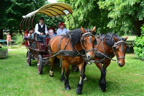 Attelages De La Bièvre Calèche Pmr Grenoble France