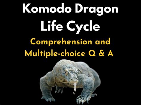 Komodo Dragon Life Cycle Reading Comprehension With Multiple Choice