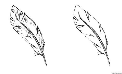 Feather Coloring Pages Turkau