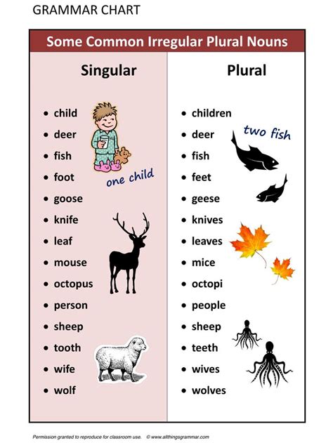 Common Irregular Plural Nouns In English English Grammar Learn Hot