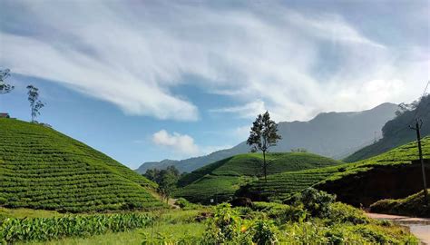 4 Days Munnar Alleppey Kerala Tour Packages Explore Kerala With Sanguine Holidays