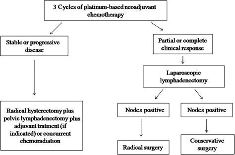 Neoadjuvant Chemotherapy Plus Fertility Sparing Surgery In Locally