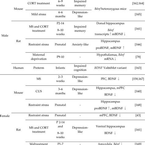 Summary Of Sex Specific Modification On Bdnf Expression Download Scientific Diagram