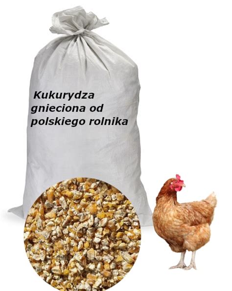 Kukurydza Gnieciona Kg Dla Ba Ant W G Si Indyk W Kaczek Kur Cena