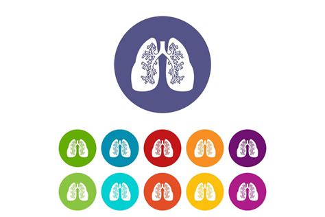 Lungs Set Icons Graphic By Ylivdesign Creative Fabrica