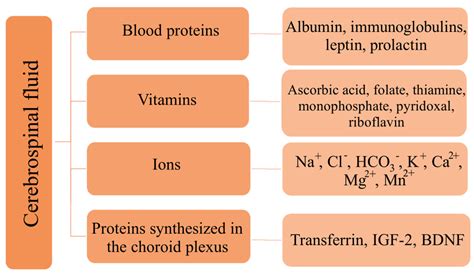 Biomedicines Free Full Text Cerebrospinal Fluidbasic Concepts Review